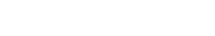 skynex.pk