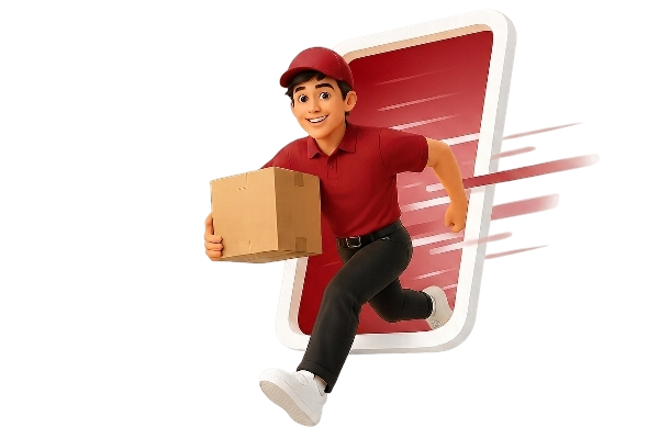 Skynex logistics services